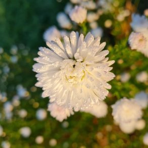 Blid Hatha/Yin Yoga - Mandag kl. 19.00/20.30 - 12. januar - 30. marts 2026 ♥ 